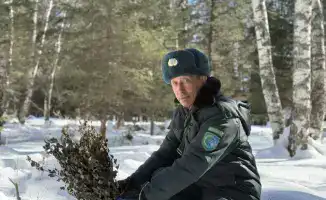Поддержка диких животных в зимний период: влияние биотехнических мероприятий на экосистему Катон-Карагайского парка