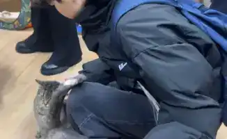 Астанинские школьники помогают животным в приюте