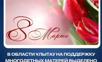 В области Ұлытау многодетным матерям выделено 187,5 миллионов тенге на социальную помощь