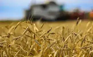 На заседании правительства Казахстана обсуждают проекты глубокой переработки АПК и открытие завода в Жамбылской области