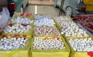 Ярмарка в Туркестане: Снижение цен на продовольствие и поддержка местных производителей