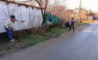 Благоустройство Сарыагаша: формирование культуры заботы о природе среди жителей