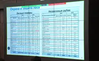 Восстановление лесного хозяйства и сохранение биоразнообразия в Казахстане