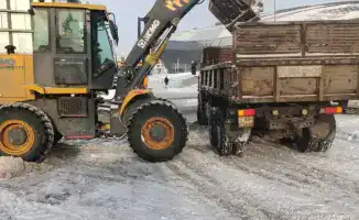 В Астане более 3 тысяч дорожных рабочих и свыше 1 500 единиц спецтехники активно работают над уборкой снега