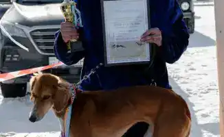 Соревнования тазы в Кушоках: культурное событие, объединяющее сообщество