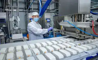 Рост экспорта мороженого в Казахстане: новые возможности для отечественного производства