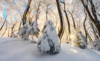 Казахстан в объятиях арктического холода: синоптики предсказывают морозы до -40 градусов на выходные