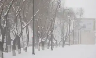 Прогноз погоды в Астане и Алматы на 5, 6 и 7 февраля: морозы и снег