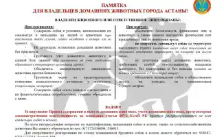 рейды по правилам выгулов собак в Астане для владельцев домашних животных