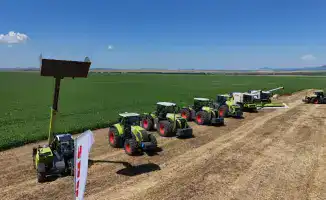 Инвестиции в агропромышленность ВКО: влияние на продовольственную безопасность и развитие сельских территорий