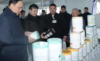 Социальное развитие Таласского района: инвестиции в образование и инфраструктуру