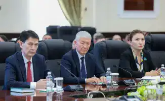 Меры по улучшению общественной безопасности и профилактике правонарушений в Шымкенте