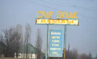 Улучшение облика населенных пунктов в Туркестанской области: шаг к устойчивой экологии и комфорту жителей