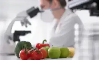 121 случая нарушений карантина растений зафиксировано при ввозе продукции из ЕАЭС в Казахстан с начала 2026 года