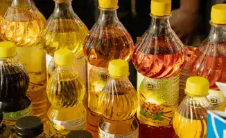 Производство растительного масла в Казахстане достигло 889 тыс тонн в 2025 году