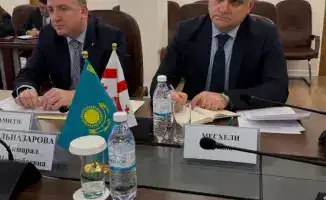 Казахстан и Грузия: новое сотрудничество в здравоохранении