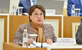 Проект новой Конституции РК шрифт Брайля инклюзия права людей с инвалидностью