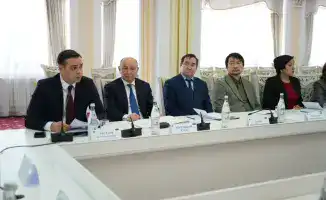 Новые политические институты в Астане