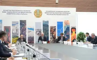 Лес под цифровым контролем: как отходы становятся ресурсом на пути к экологии 2025