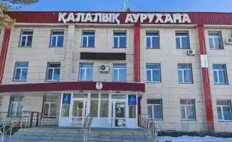 Минздрав проведёт внеплановую проверку в Рудненской городской после публикации блогера