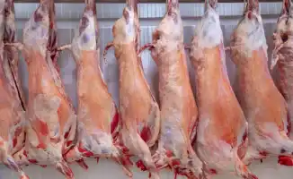 Социальная обеспокоенность: министр прокомментировал слухи о вывозе казахстанской говядины под видом картошки