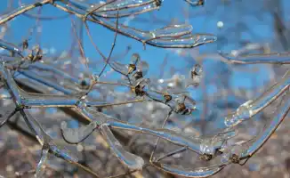 Синоптики Казгидромета предупреждают о морозном ударе в Астане и ледяном дожде в Алматы: прогноз на 26-28 февраля