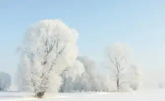 Казахстан готовится к резкому похолоданию после теплых дней