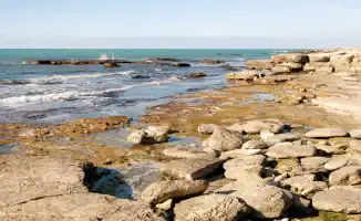 Международное сотрудничество: Казахстан выделяет 1,1 миллиарда тенге на изучение и сохранение Каспия