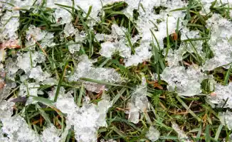 Сильные морозы в южном Казахстане: как погодные условия влияют на жизнь местных жителей