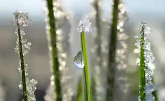 Казахстан: 51 год ждал, чтобы снова стать горячим!