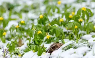 Тепло до 20 градусов в Казахстане: возможные последствия для сельского хозяйства и энергетики в феврале