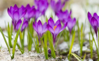 Казахстанцы готовятся к возвращению тепла: прогноз погоды на начало марта