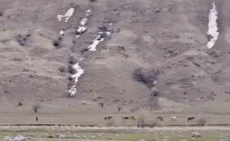 Казахстанцы готовятся к потеплению: температура поднимется до 17 градусов