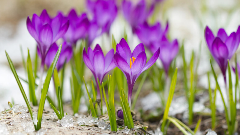 Казахстанцы готовятся к возвращению тепла: прогноз погоды на начало марта Астане