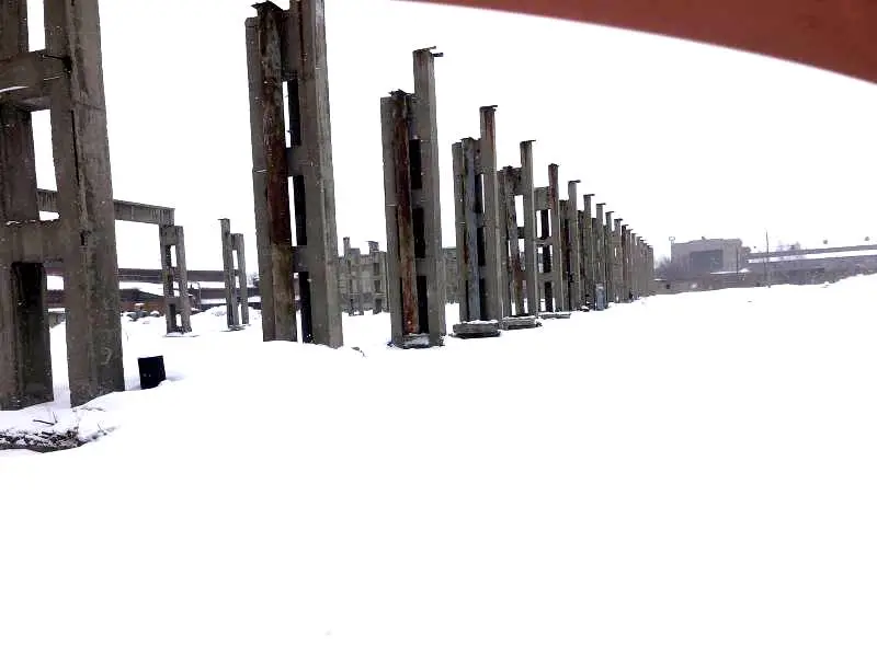 Новые молокоперерабатывающие заводы в Восточном Казахстане: современные технологии и увеличение мощностей Астане