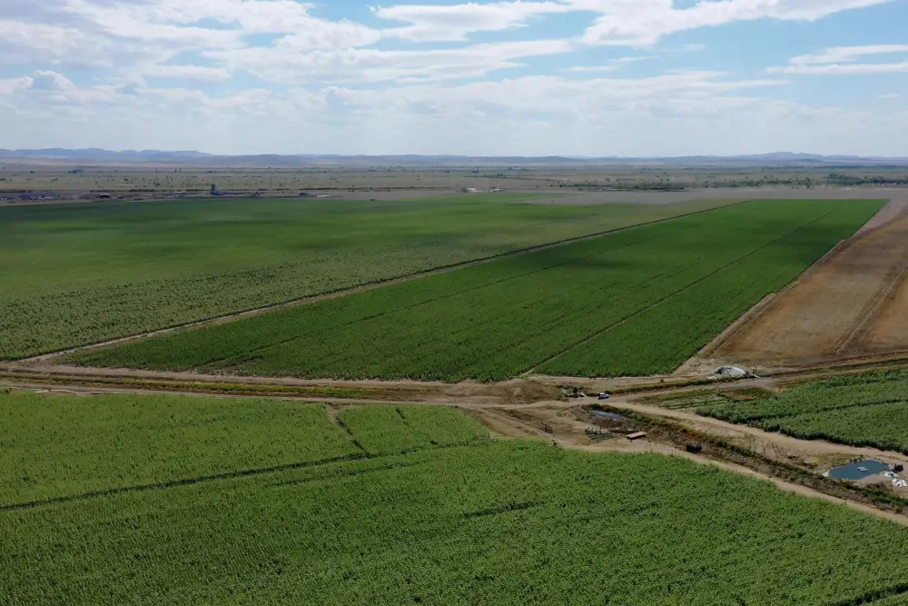 В области Абай рассмотрели ход подготовки к весенне-полевым работам (5)