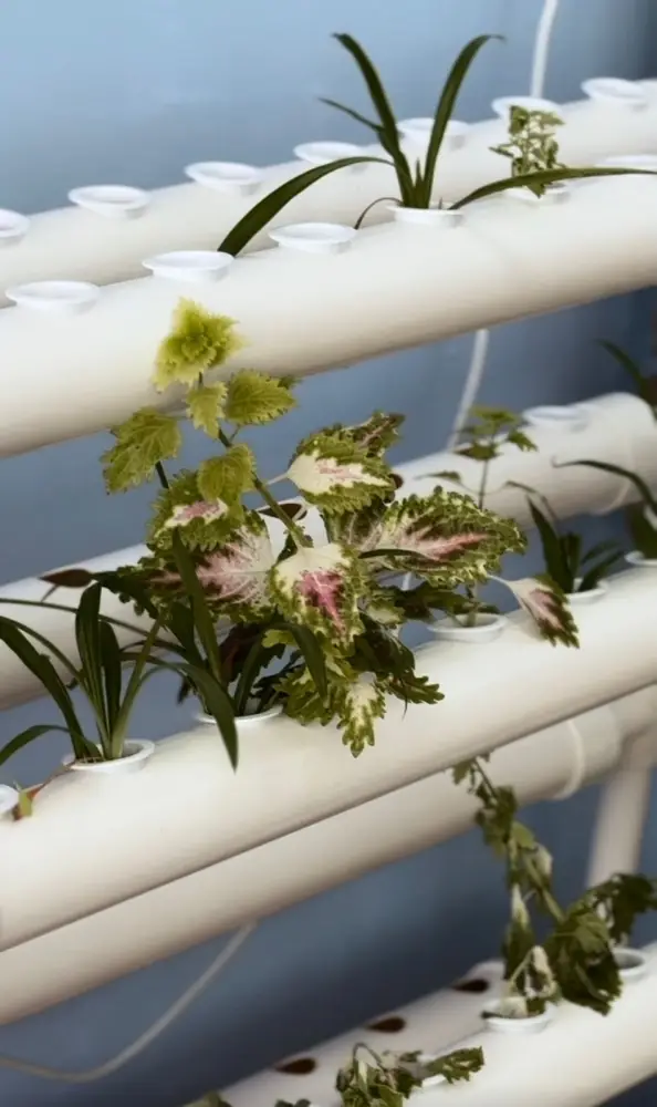 Цветы жизни: как в детском саду «Өрлеу» поддержали акцию «Таза Қазақстан» (4)