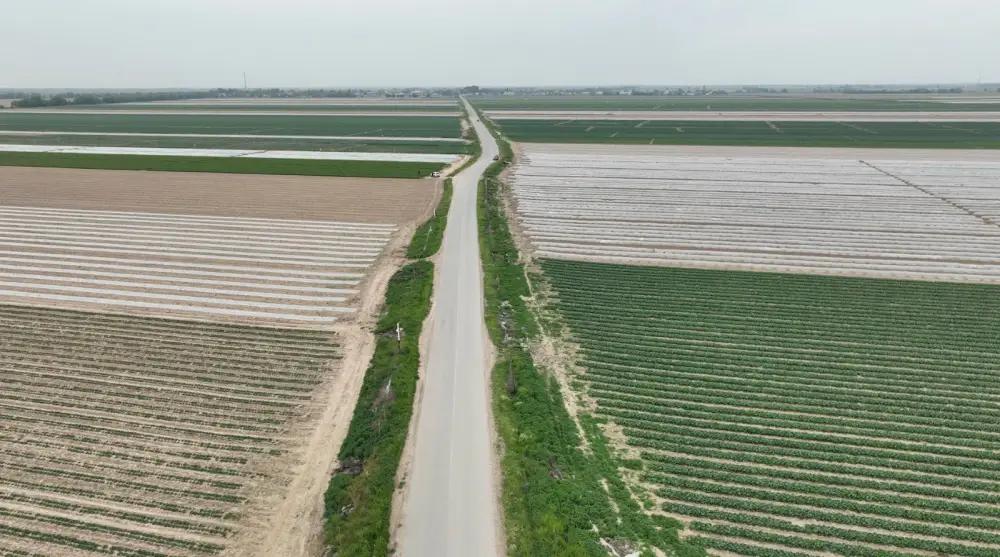 В ТУРКЕСТАНСКОЙ ОБЛАСТИ ЗА ТРИ ГОДА СОЗДАН 201 НОВЫЙ СЕЛЬСКОХОЗЯЙСТВЕННЫЙ КООПЕРАТИВ (7)