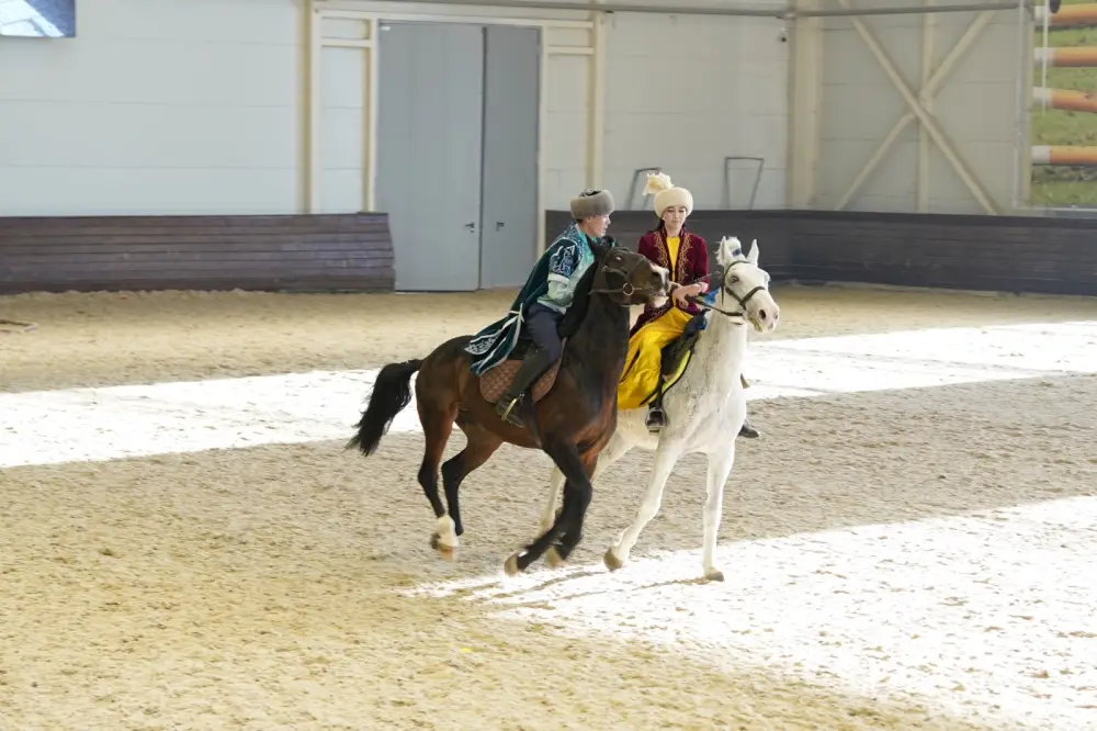 Национальный праздник спорта в Астане: традиционные игры как способ укрепления культурной идентичности Астане