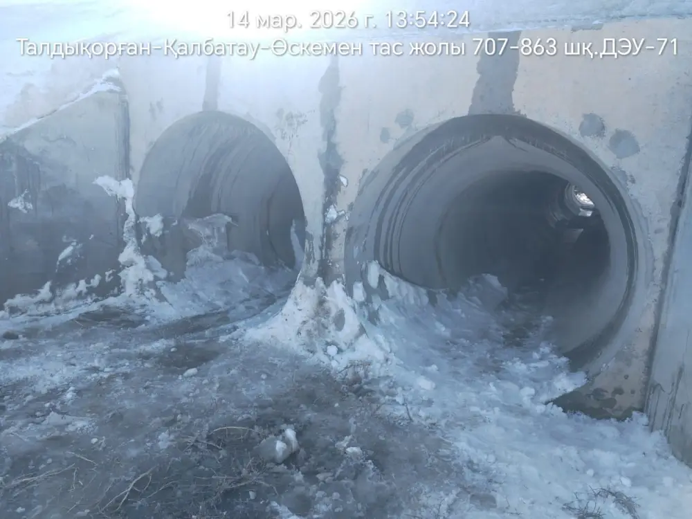 Министр транспорта РК поручил усилить подготовку транспортной инфраструктуры к паводкам (6)