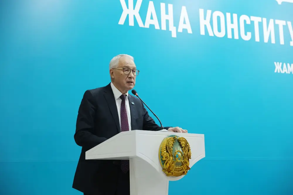 Новая Конституция - выбор народа (6)