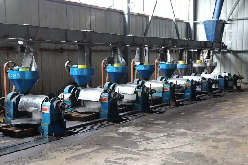 В Туркестанской области запущен завод по переработке масличных культур (4)