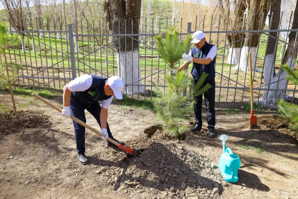 Президентская инициатива «Таза Қазақстан»: Олжас Бектенов принял участие в акции «Мөлдір бұлақ» в Туркестанской области (4)