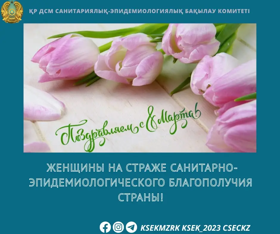 Женщины: невидимые щиты санитарного благополучия страны! Астане
