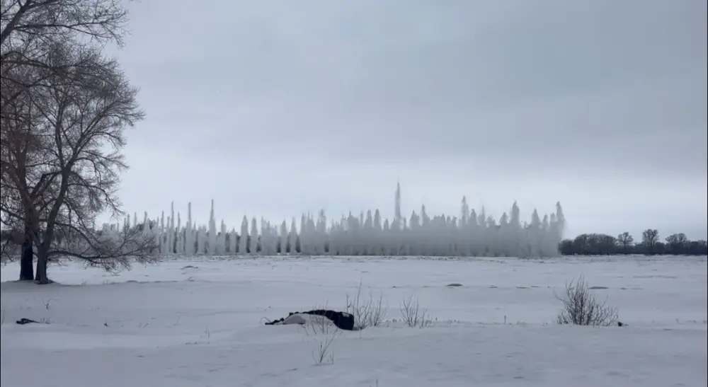 Международная солидарность в борьбе с паводками: спасатели и волонтёры объединяются для защиты населённых пунктов Астане