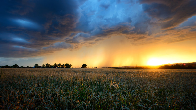 Казахстан в объятиях весеннего зноя: синоптики предсказывают 30-градусную жару на выходных Астане