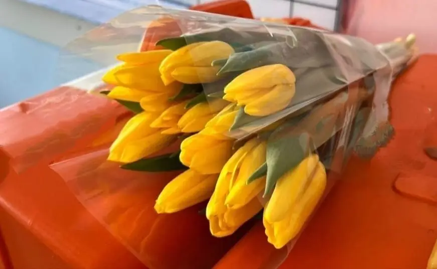 Дорогие и милые дамы! (4)