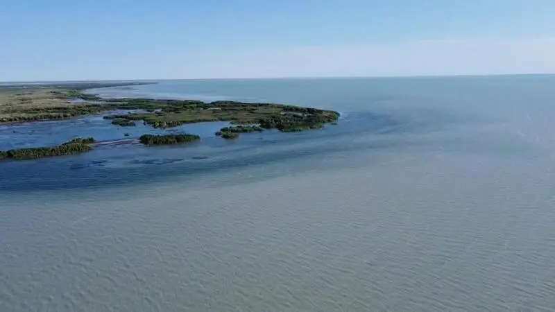 Балхаш: рыбы под контролем, экосистема на весах! Астане