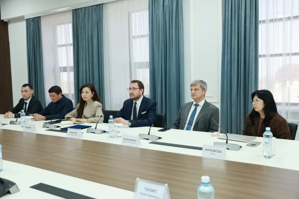 Развитие телекоммуникационной инфраструктуры в Жамбылской области: встреча Ербола Карашукеева с председателем ТОО «Мобайл Телеком-Сервис» Астане
