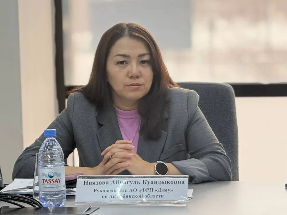 Открытый диалог с предпринимателями о возможностях СЭЗ «Актобе» (4)